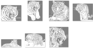 Pattern Bundle 106- Tigers