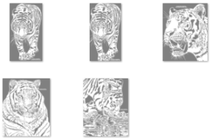 Pattern Bundle 107- Tigers