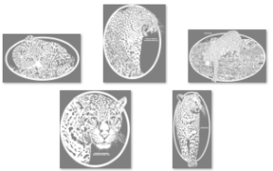 Pattern Bundle 113- Spotted Big Cats
