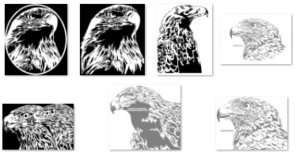 Pattern Bundle 127- Golden Eagles