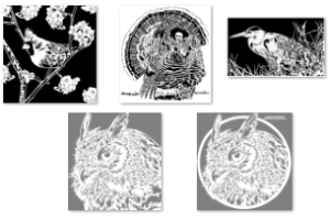 Pattern Bundle 133- Misc Birds