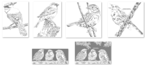 Pattern Bundle 135- Misc Birds