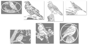 Pattern Bundle 136- Misc Birds