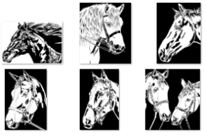 Pattern Bundle 219- Horses