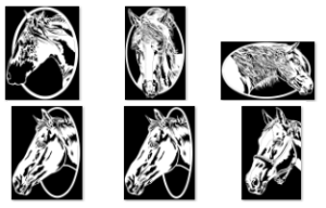 Pattern Bundle 223- Horses