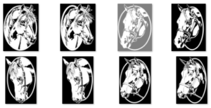 Pattern Bundle 224- Horses