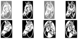 Pattern Bundle 225- Horses